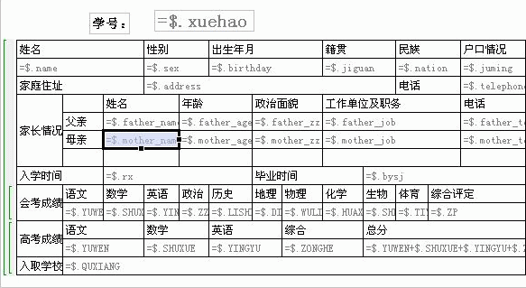 学生基本信息表(样表) (1)